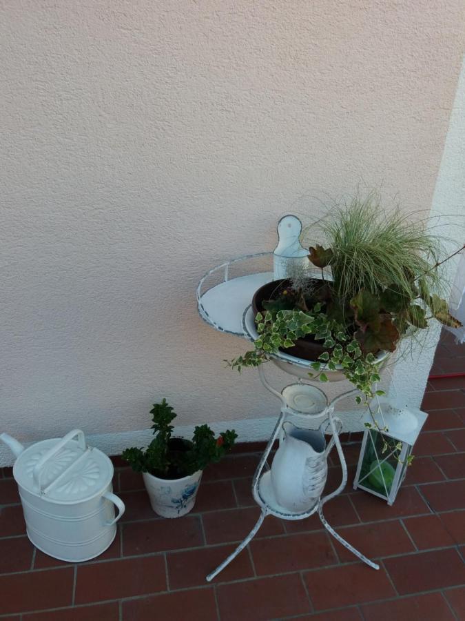 Wohnung Mit Charme In Pinsdorf Eksteriør billede
