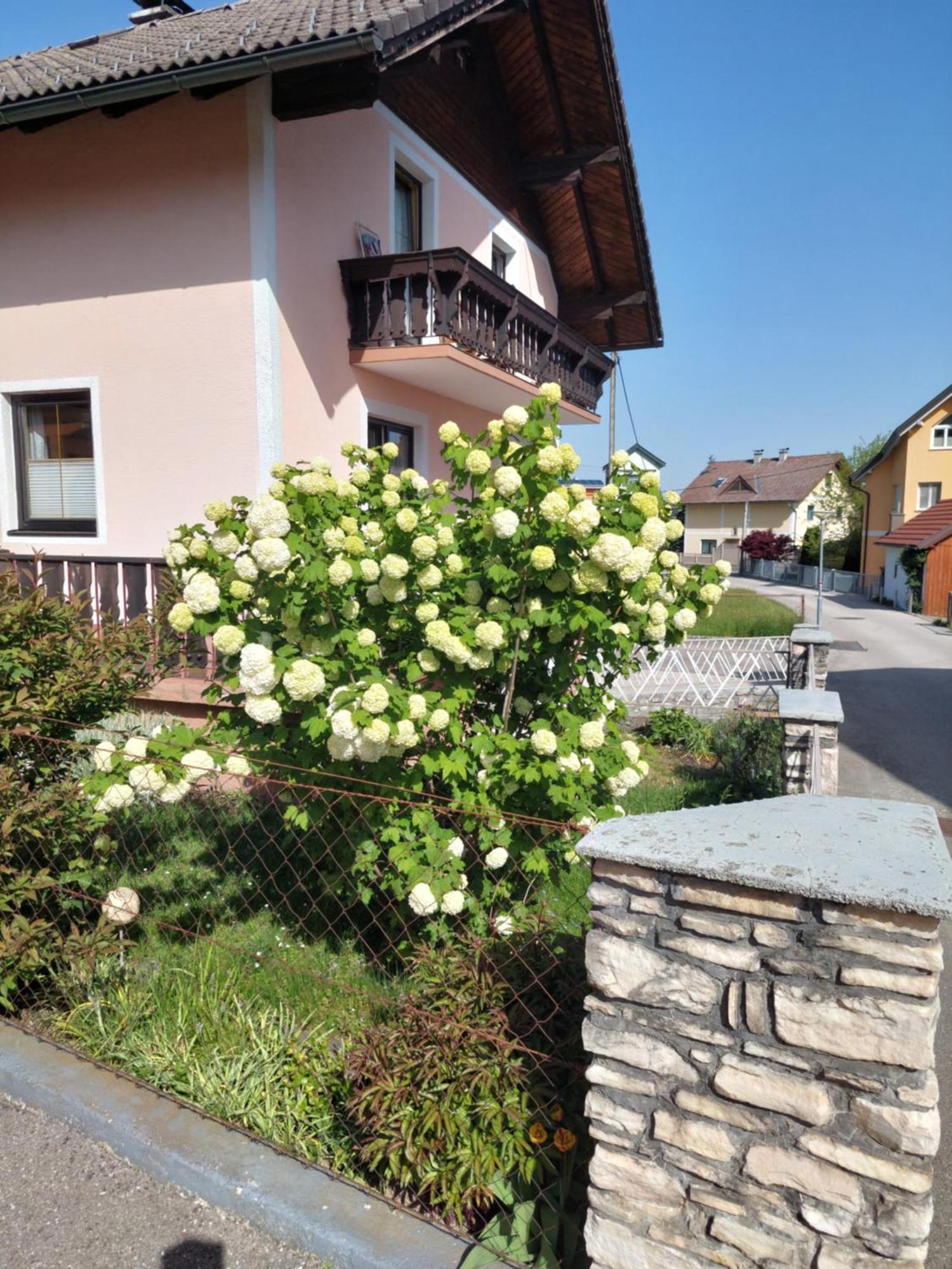 Wohnung Mit Charme In Pinsdorf Eksteriør billede